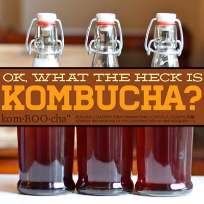 Kombucha Benefits And Side Effects Updated 2017 Guide